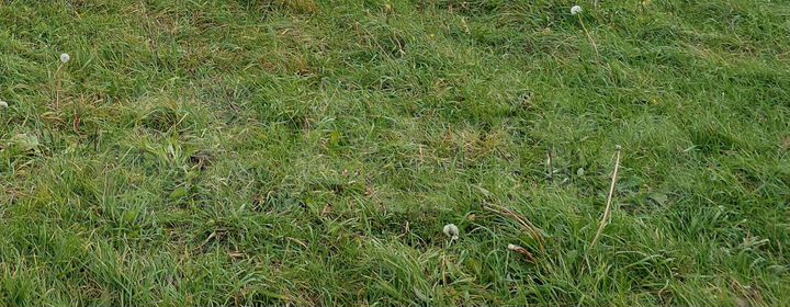 Участок 200 га (ИЖС)