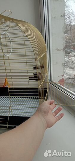 Клетка для попугая