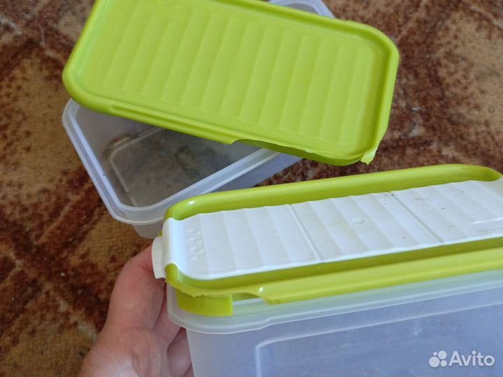Контейнеры пластиковые 20 штук