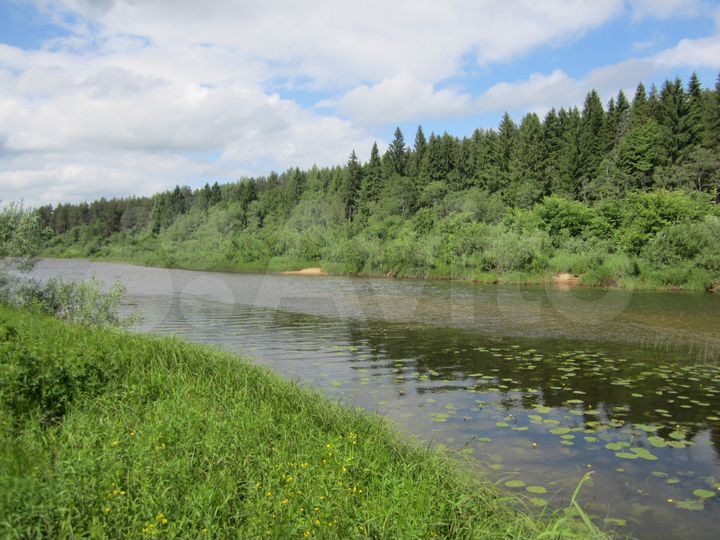 Участок 36 га (ИЖС)