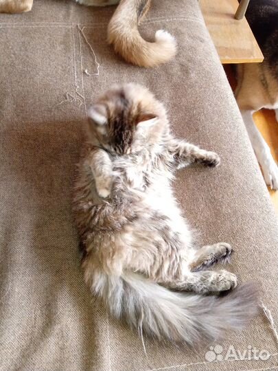 Милая девочка