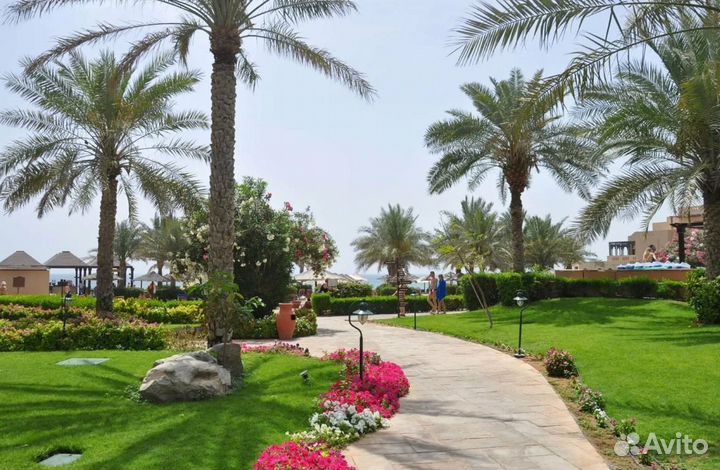 Тур поездка Фуджейра, ОАЭ от 1-го чел