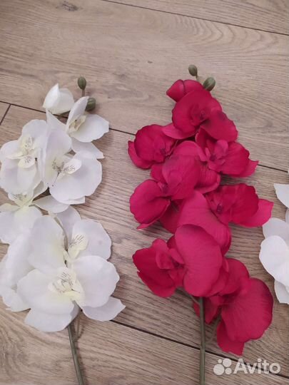 Орхидея ветка, листья искусств