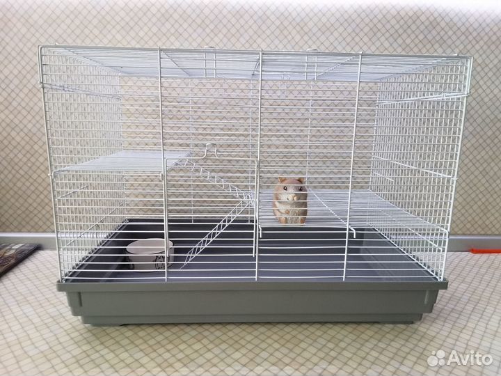 Клетка для грызуна большая