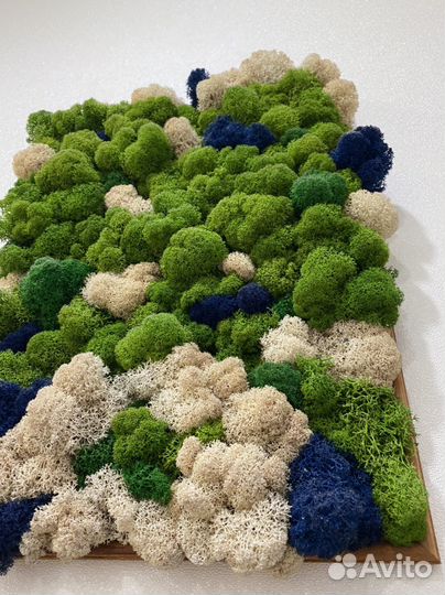 Картина из мха