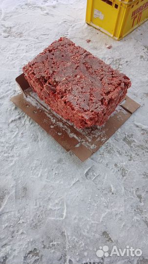 Корм для собак и кошек. Цена на эту неделю