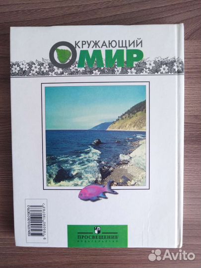 Окружающий мир 3 класс