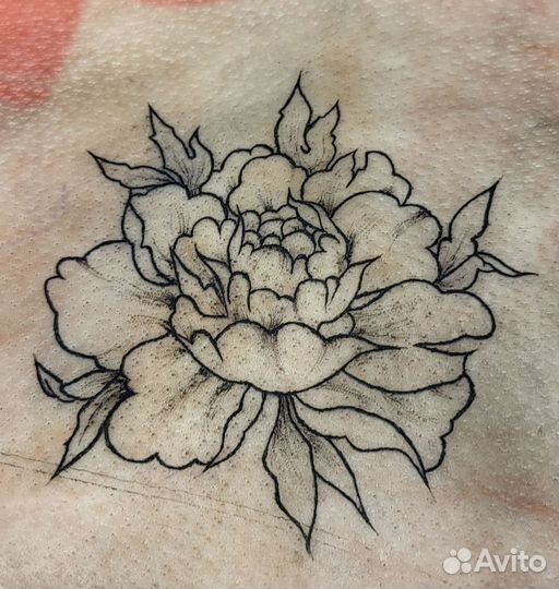 Модель на тату за расходники Москва