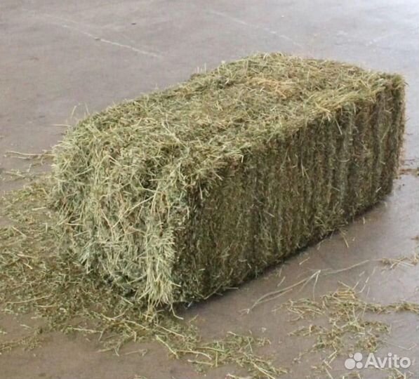 Сено разнотравья