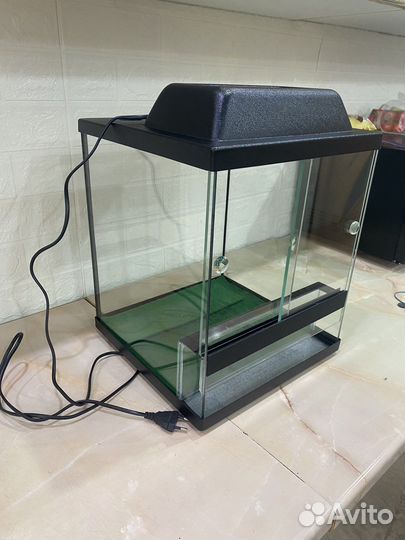 Террариум для рептилий