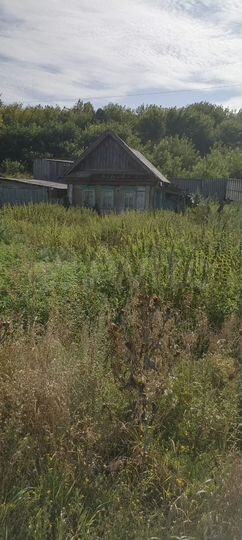 Дом 36 м² на участке 17 сот.