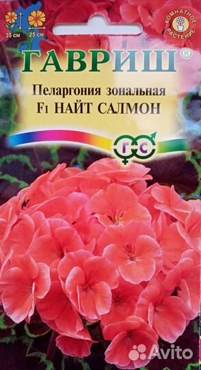 Герань пеларгония