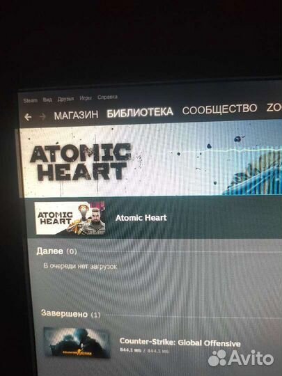 Atomic heart steam