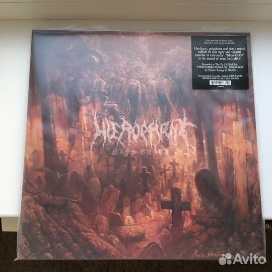 Винил Hierophant