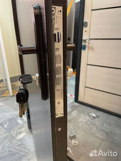 Дверь металлическая