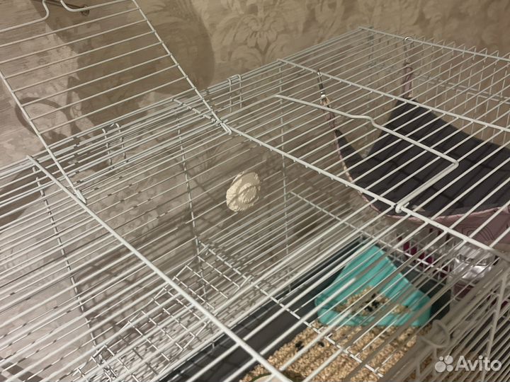 Клетка для грызунов