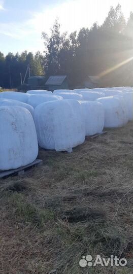 Продам сенаж