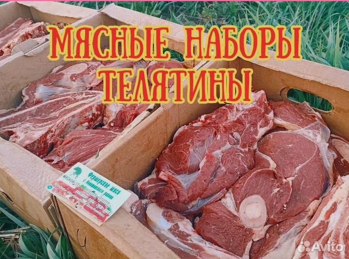 Мясо телятины