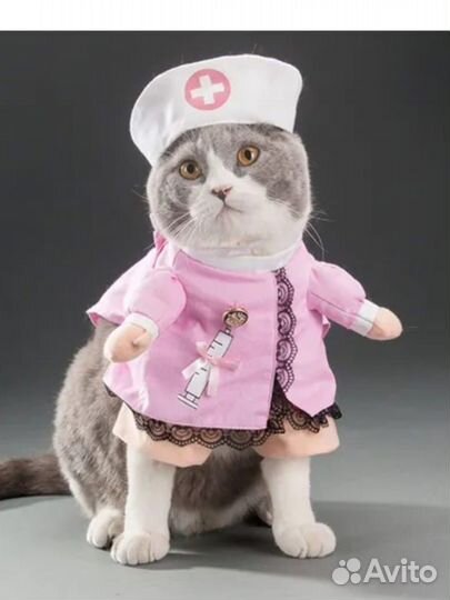 Костюм медсестры на кошку или собаку