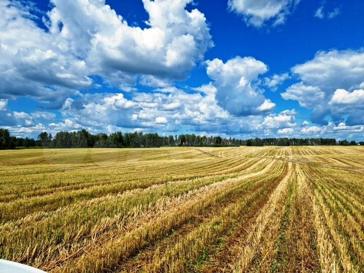 Участок 33 га (СНТ, ДНП)