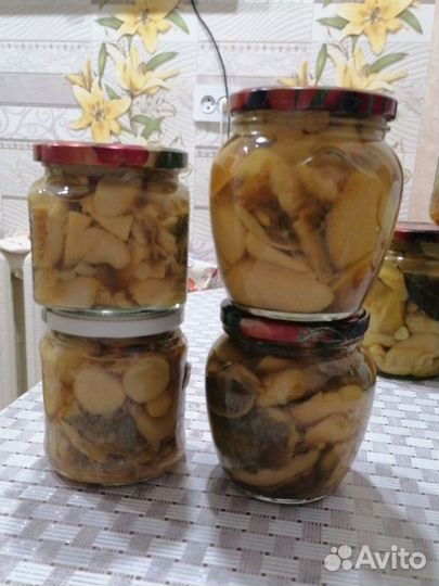 Грибы банка