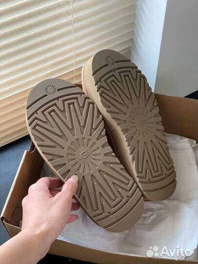 Угги Ugg tazz tasman