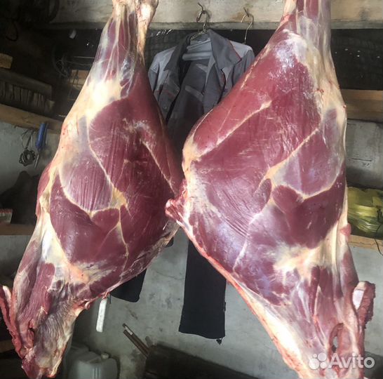 Мясо Вналичии деревенское Говядина забой 11августа