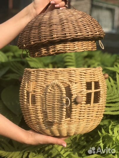 Саквояж и лозы