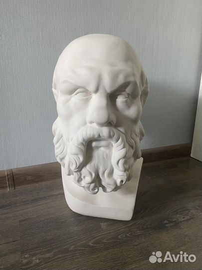 Гипсовая голова Сократа