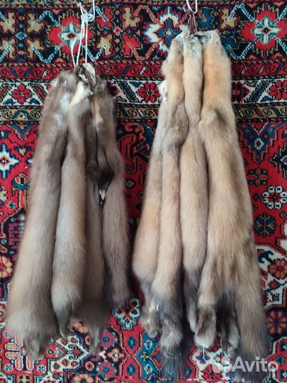 Выделанные шкуры