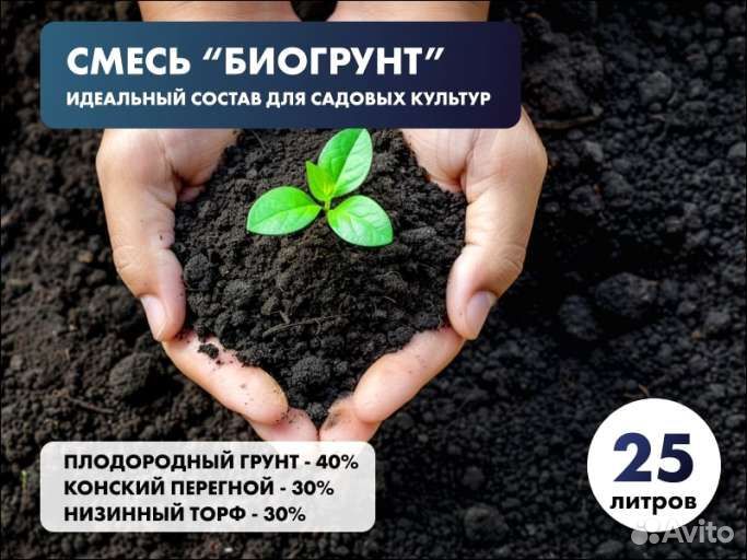 Плодородный грунт 40%, перегной 30%, низинный торф