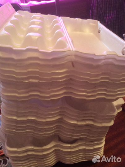 Упаковка для яиц