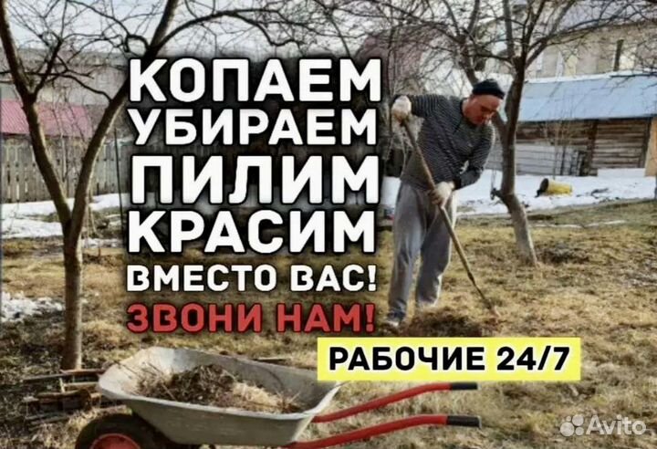 Грузчики