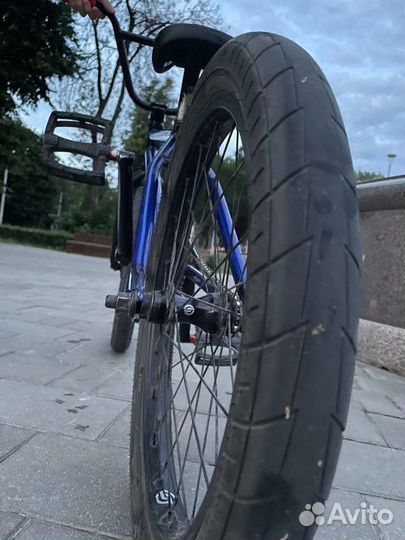 BMX WTP custom 2019