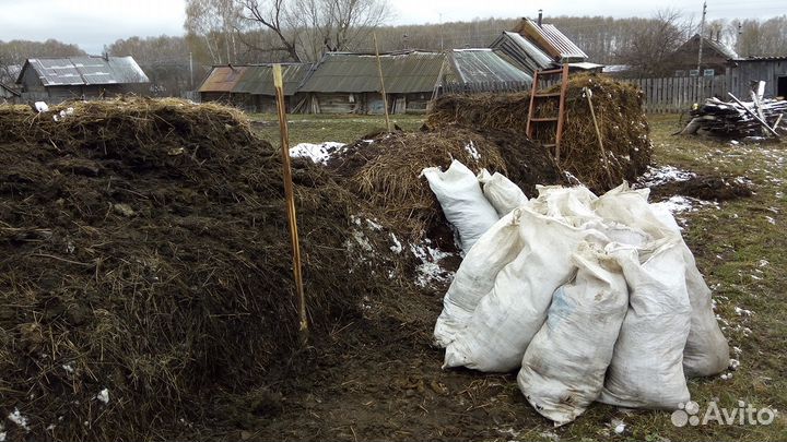 Продаю все мешками коровий, конский перегной, торф