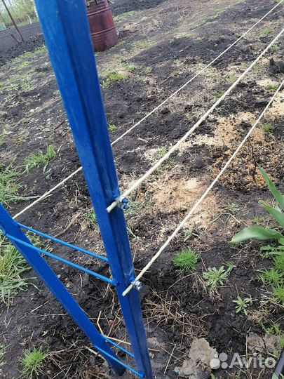 Шпалеры для винограда. 2х плоскостные