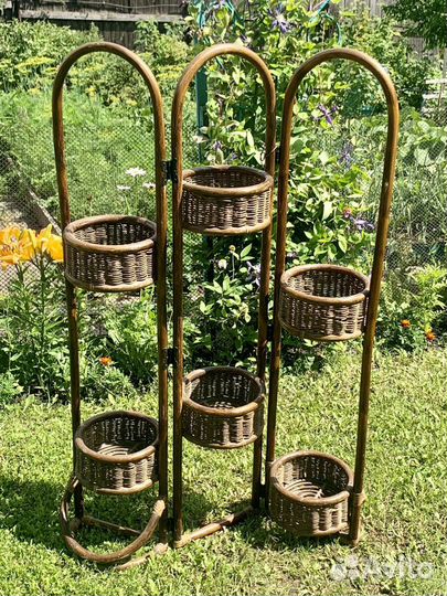 Цветочница ротанговая