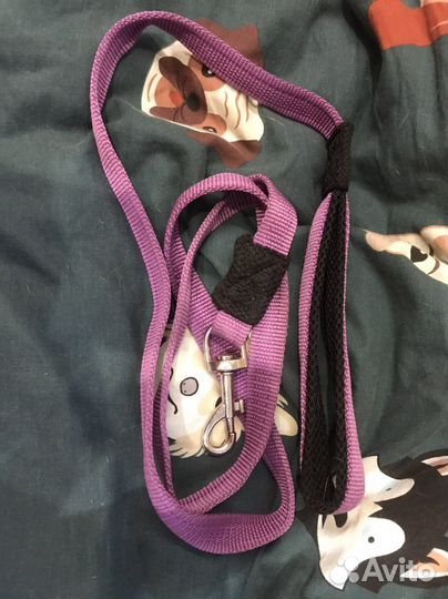 Амуниция для собак