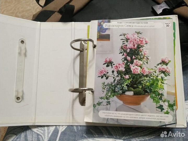 Книга растений