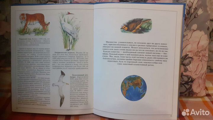 Книга Атлас животного мира