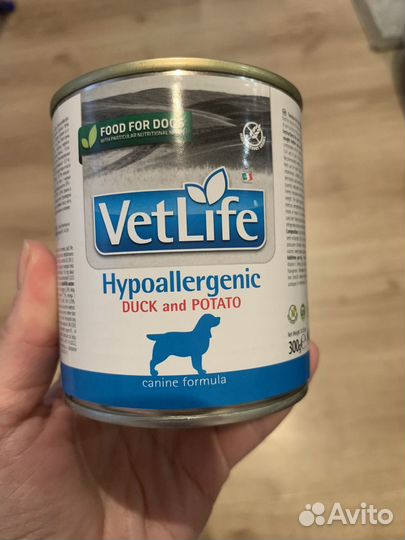 Влажный корм для собак