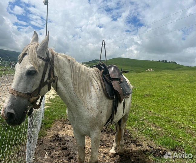 Кисловодск Топ-Экскурсия Живописные окрестности Ки