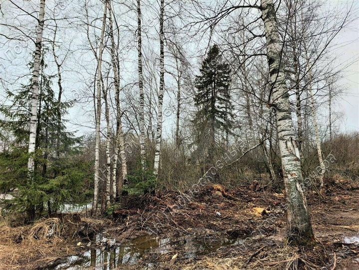 Участок 50 сот. (ИЖС)