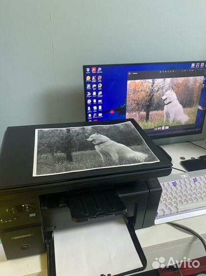 Лазерный принтер hp laserjet M1132 MFP
