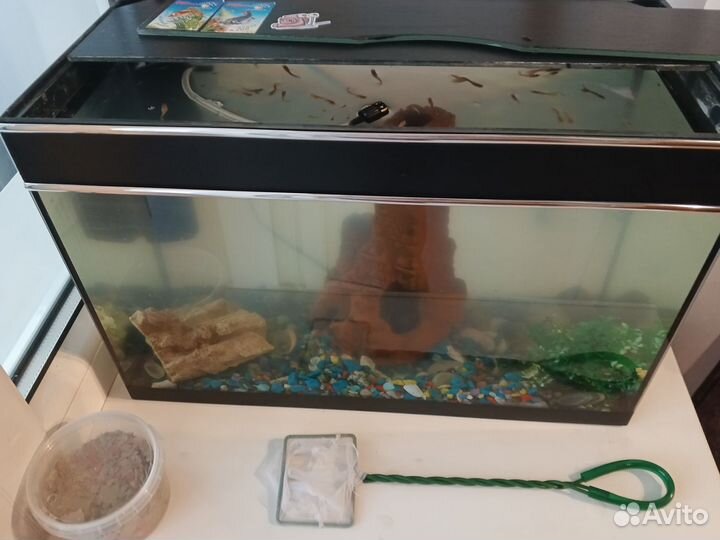 Аквариум с рыбками