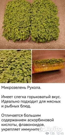 Микрозелень