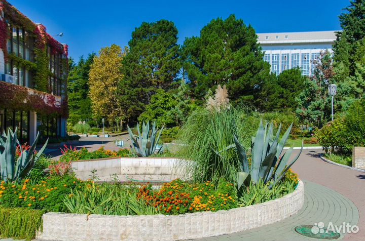 Отдых в пансионате 