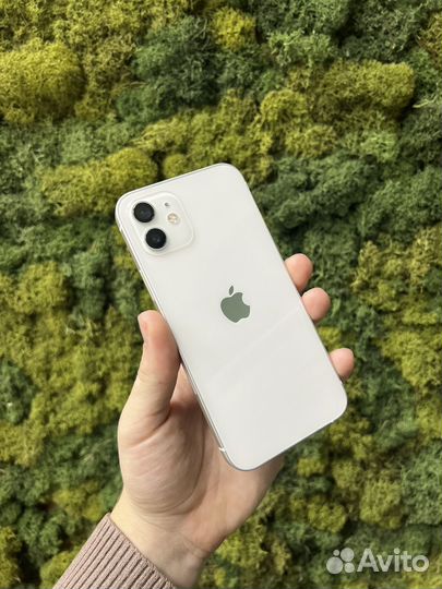iPhone 12, 256 ГБ