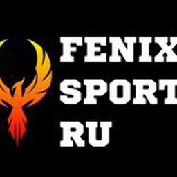 Fenix Sport