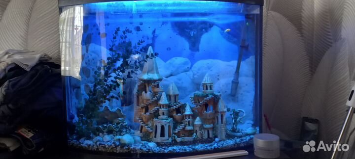 Аквариум